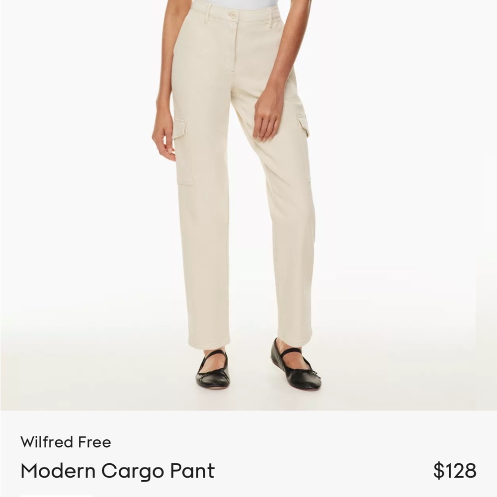 ARITZIA MODERN CARGO PANT